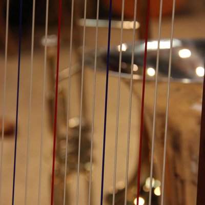 2021 40 Jahre Schlitterer Saenger